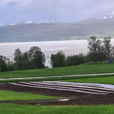 Cozy On A Farm With Parking Appartement Tromsdalen